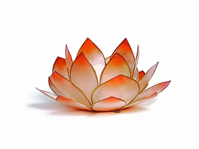 Bild von Teelicht Lotus-Licht Sonnenaufgang mandarin
