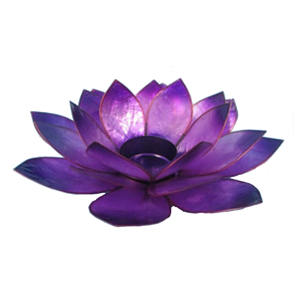 Bild von Teelicht Lotus-Licht Sommersonne violett